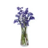 Florabundance Bluebell Vase -JINY Shop bluebell