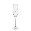Glitz Celebration Flutes, Set Of 2 -JINY Shop clear flute single