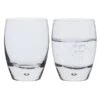Eleanor Tumbler, Set Of 2 -JINY Shop eleanor tu81905 tumbler pair co