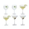 Bar Six Cocktail, Set Of 6 -JINY Shop gpwbcocktail 6pk