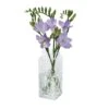 Small Clear Marguerite Vase 2 Small Clear Marguerite Vase -JINY Shop marguerite clear large bouquet co 1 lr
