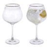 Gatsby Copa Gin & Tonic, Set Of 2 -JINY Shop microsoftteams image 10
