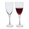 Rachael Large Red Wine Glass, Set Of 2 -JINY Shop rachel large wine