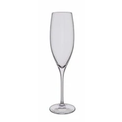 Wine Master Flute Champagne Glass, Set Of 2 8 Wine Master Flute Champagne Glass, Set Of 2 -JINY Shop st1405 p empty 1