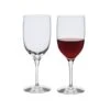 Wine Master Port Glass, Set Of 2 -JINY Shop wm port