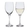 Wine Master White Wine Glass, Set Of 2 -JINY Shop wm white wine